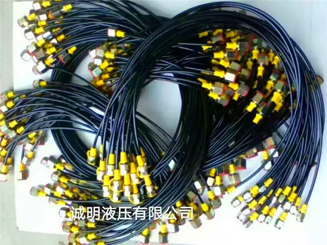 3mm測(cè)壓軟管及總成